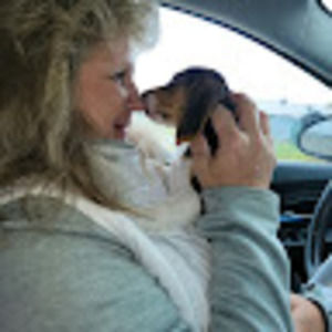 Meet your Posher, Bobbie